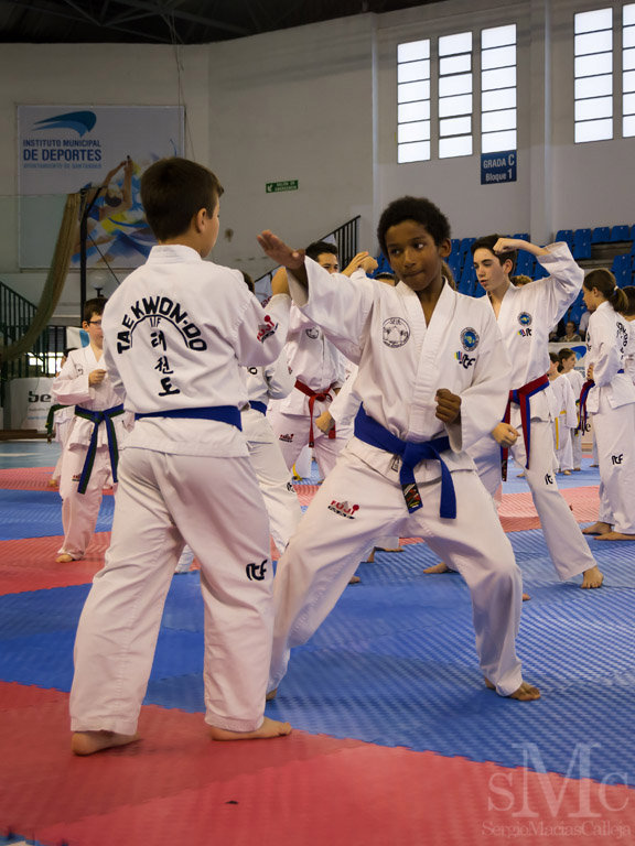 DIA DEL TAEKWONDO ABRIL 2017_3970.JPG
